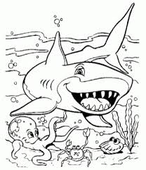 It is not just kids; 20 Free Printable Shark Coloring Pages Everfreecoloring Com