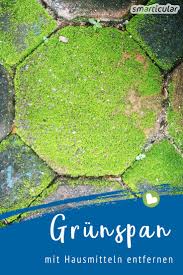 Algen, flechten und moose zeigen sich durch grünlichen belag. Grunspan Und Moos Entfernen Von Holz Und Stein Diese Hausmittel Helfen