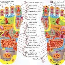 Petua & amalan menguatkan zakar. Assalamualaikum Urutan Tapak Kaki Yang Baik Juga Boleh Mengatasi Masalah Lemah Batin Bagi Wanita Mahupun Lelaki Ada Slot Kosong Untuk Selasa Depan 18hb August 2020 Jam 9pagi Siapa Berminat Untuk Booking Slot