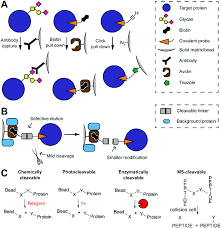 While gps technology allows us to pinpoint any location on the planet, mark the location, and share it with others, waymarking is the toolset for categorizing and adding unique information for that location. Cleavable Linkers And Their Application In Ms Based Target Identification Molecular Omics Rsc Publishing