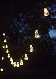 Add A Festival Atmosphere To Your Outdoor Spaces With The Festoon Lights Squirrel 20 Bulbs Festoon Lighting Fairy Lights Garden Outdoor Tree Lighting