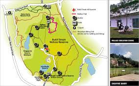 Although this park does not have cows anymore (as it is no longer a dairy farm), it still stands out from most parks in singapore due to it being the place where the wallace education. What You See At These Singapore Green Running Trails Will Surprise You