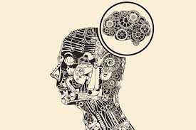 Размышляли ли вы над тем, что собой представляет интеллект, и как определяется уровень развития ума человека? Chto Takoe Kognitivnye Sposobnosti I Kak Ih Razvit Blockchain For Connecting People