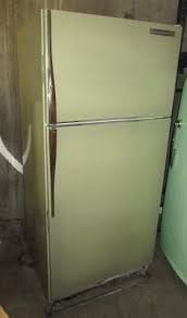 Image result for Dark Avocado 1977 Fedders