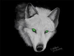 Black And White Wolf Tattoo With Blue Eyes The Silver Wolf By Windseeker On Deviantart Silver Wolf Wolf White Wolf