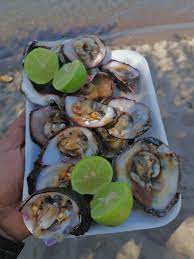 Ostras en las playas del juego