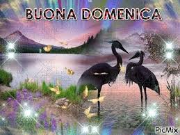 Buona Domenica 7 Luglio 2019 Felice E Magica Domenica Grazie Fauna Di Re Buona Domenica Domenica Buongiorno