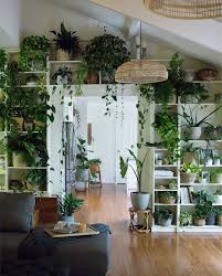 Urban Jungle Bloggers Urbanjungleblog In Bloggers Indoors Jungle Urban Urbanjungleblog Small Indoor Plants Houseplants Indoor Plant Shelves