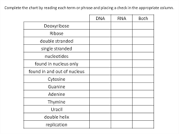 dna replication rna structure function and compare dna