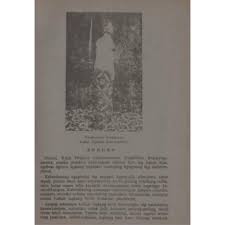 Perbintangan, jamu jamu tradisional, doa doa jawa kuno. Buy Kitab Primbon Ajimantrawara Ngelmu Jawa Seetracker Malaysia