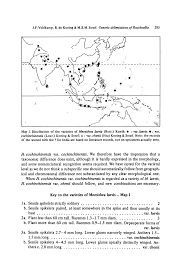 Image result for Rhytachne subgibbosa