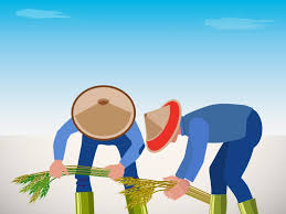 Secara umum disebabkan karena kesejahteraan petani yang tidak belajartani.com info agribisnis 6 faktor penyebab banyak petani beralih profesi. Kementan Diminta Dorong Petani Tingkatkan Penggunaan Pupuk Organik