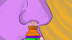 Image result for Popper