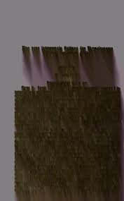 Image result for Synandrodaphne paradoxa