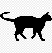 Download Black Cat Silhouette Png Images Background Toppng