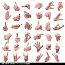 Drawing Reference おしゃれまとめの人気アイデア Pinterest Miranda Provost 手のスケッチ スケッチ 手の写真