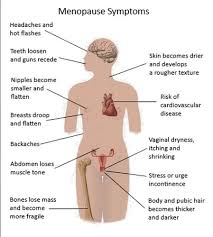 Even if testicular cancer has spread to other parts of the body, many men might not have symptoms right away. Reproduction Study Guide Test 1 Flashcards Quizlet