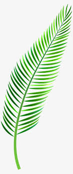 Check spelling or type a new query. Palm Leaf Png Clip Art Tropical Leaf Watercolor Png 3743x8000 Png Download Pngkit