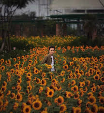 Udara di jawa barat terkenal sejuk dan dingin sehingga membutuhkan makanan untuk selain itu, makanan di jawa barat terkenal dengan kreativitas dalam membuatnya. Tiket Masuk Sky Garden Pvj Spot Foto Kebun Bungan Matahari Di Bandung Wisata Oke