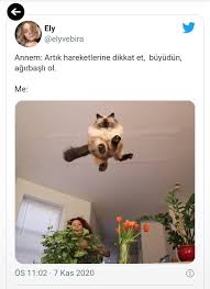 Beyin Panosundaki Pin