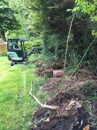 Rhizomsperre Einbauen Bambus Im Zaum Halten Dank Wurzelsperre Bambus Beeteinfassung Holz Wurzeln Entfernen