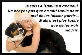 Check spelling or type a new query. Devenir Famille D Accueil Site De Associationbabymum