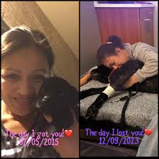 My big baby Rex. He's 12 and he's missing his road dog Allie who passed  away October 21 from surgery complications. Allie was 8.