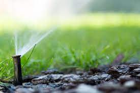 Drip Irrigation Vs A Standard Sprinkler System Above Beyond Cgm