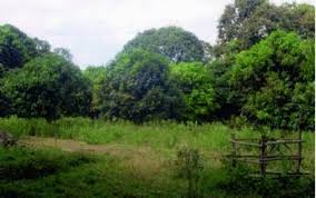 What is lowland area between higher lands such as mountains? The Soils Of The Lowlands Springerlink
