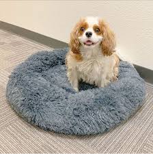 Puprug™ faux fur that can come in very handy since overwhelming odor is a common issue that most pet parents encounter. Cozy Calming Bed For Dogs Alpha Paw