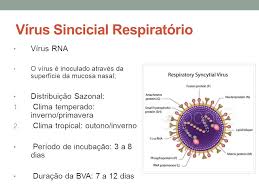 O vírus sincicial respiratório é um microrganismo que causa infecção das vias respiratórias, podendo atingir crianças e adultos, no entanto, os bebês com menos de 6 meses, prematuros, que sofrem de alguma doença pulmonar crônica ou de doenças cardíacas congênitas são mais propensos a adquirir esta infecção. Bronquiolite Internato De Pediatria Yandara Ward Sa Ppt Video Online Carregar