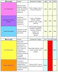 Pin On Hematology