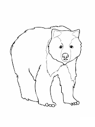 Coloring pages for care bears are available below. Free Printable Bear Coloring Pages For Kids