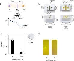 We always make sure that writers follow all your instructions precisely. 2d Printed Multicellular Devices Performing Digital And Analogue Computation Nature Communications