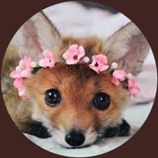 Today i am giving away a free shadow dragon in adopt me!! Really Wants A Frn Shadow Dragon In Adopt Me Jodie Proffitt Twitter