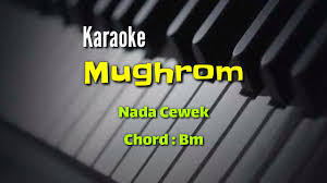 Ya fatah iftahk lanaa baabaq wa ja'alna minjumlatin akh babaq ya allahu lana bi sa'adah wa khatiwa.wa sahadah ya mujib ya sirumuurana ya majiid sarrif su'udana ya rahman falikhurubana ya rahim fawidzumuurana ya wahab hablana hilman wa hikmah ya razaak wal si'wajudlana ya wahaab. Cev Amza Record Youtube Channel Analytics And Report Powered By Noxinfluencer Mobile