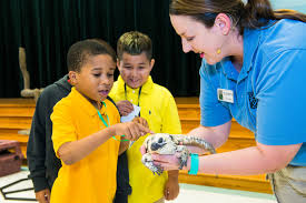 Luckily, all of the houston zoo family is steadfast in their commitment to connect communities with animals and inspire action to save wildlife. Zoomobile The Houston Zoo