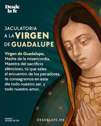 Librería Redes Cd. Altamirano