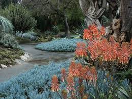 Image Result For South American Garden Design Succulent Landscaping Succulents Garden Desert Botanical Garden