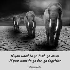 If you want to go fast go alone if you want to go far go together quote. Image Quotes If You Want To Go Fast Go Alone If You Facebook