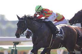 Apr 25, 2021 · no.1競馬サイト「netkeiba.com」がフローラステークス(g2).2021年4月25日東京の競馬予想・結果・速報・日程・オッズ・出馬表・出走予定馬・払戻・注目馬・見どころ・調教・映像・有力馬の競馬最新情報をお届け！ Tb9niw8ttkrasm