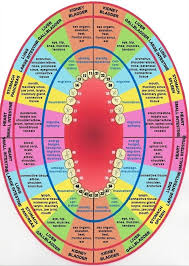 Holistic Dental Arts Santa Ana Ca United States