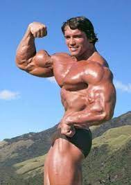Arnold Schwarzenegger Bio Height Weight Arms Chest Thighs Calves Age Measurements Arnold Bodybuilding Arnold Schwarzenegger Schwarzenegger