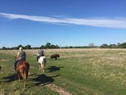 The chappell hill post office is located in the state of texas within washington county. Texas Ranch Life Chappell Hill Aktuelle 2021 Lohnt Es Sich Mit Fotos