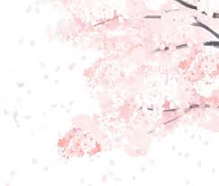lavender 桜のイラスト 桜イラスト 桜の花