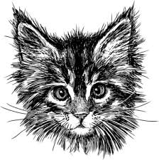 Vector Cat Head Silhouette Free Vector Download 7 926 Free Vector For Commercial Use Format Ai Eps Cdr Svg Vector Illustration Graphic Art Design