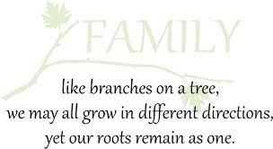 Like branches in a tree, we all grow in different directions, yet our roots remain as one. Family Like Branches Of A Tree We May Grow In Different Directions Quote The Walls