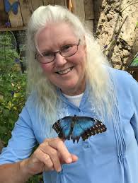 Obituary information for Linda Lee Winters