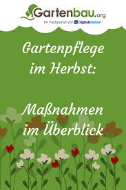 Gartenpflege Im Herbst Laub Herbstschnitt Und Wurzelschutz Gartenpflege Garten Gartenarbeit