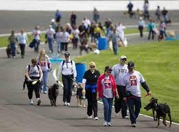 2013 Mutt Strut A Benefit For The Indianapolis Humane Society Which Lets Participants Walk Their Dogs Aroun Mutt Strut Indianapolis Motor Speedway The Struts